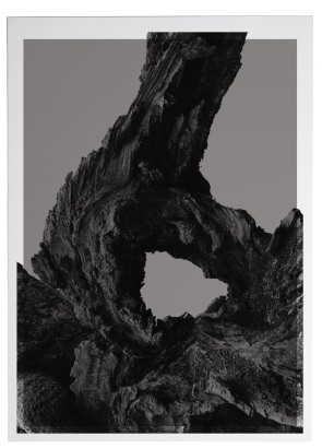 Trine Sondergaard &amp; Nicolai Howalt&nbsp;-  Megafossil #4,&nbsp;2012  | Bruce Silverstein Gallery