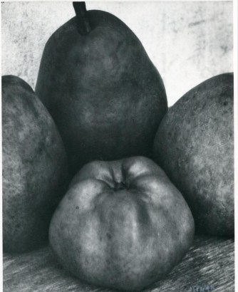 Edward Steichen - Three Pears and an Apple, c. 1921 | Bruce Silverstein Gallery