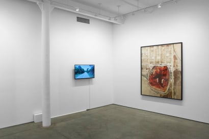 Mishka Henner : Semi-Automatic | installation image 2015 | Bruce Silverstein Gallery