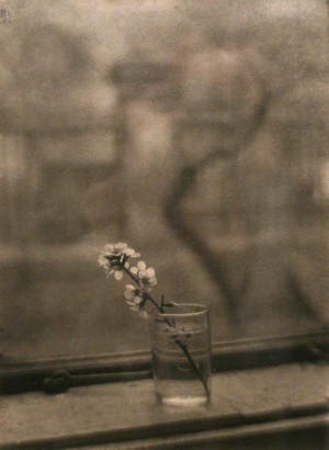 Josef Sudek, Window of my Studio with a Blossom, 1950