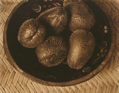 Edward Weston&nbsp;- Chayotes Batea Pelale, Mexico, 1924 Platinum print with varnish mounted to board, printed c. 1924 | Bruce Silverstein Gallery