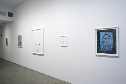 Brea Souders | installation image 2014 | Bruce Silverstein Gallery
