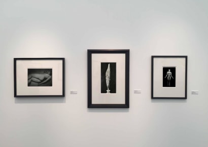 Frieze Masters 2017 :  Man Ray, Henry Moore, Aaron Siskind, Frederick Sommer, Constantin Br&acirc;ncuși  | installation image | Bruce Silverstein Gallery