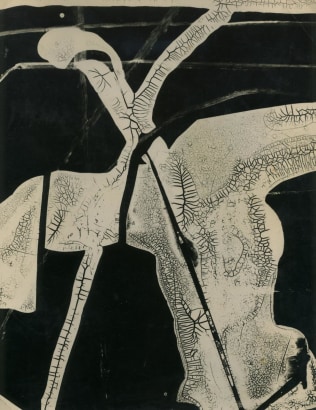 Gyorgy Kepes- Untitled, 1938 Cliche verre photogram, printed c. 1938 | Bruce Silverstein Gallery