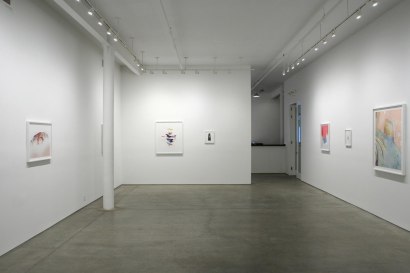 Brea Souders | Bruce Silverstein Gallery