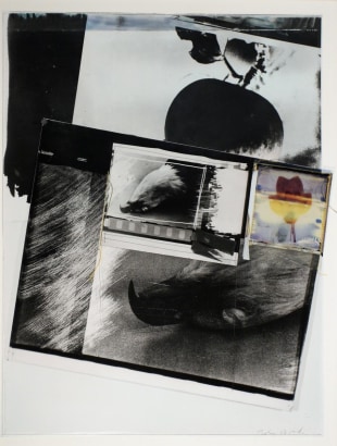John Wood - Eagle Pelt Collage, 1988 Collage | Bruce Silverstein Gallery
