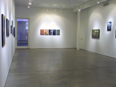 Ernst Haas : reCREATION | installation image 2005 | Bruce Silverstein Gallery