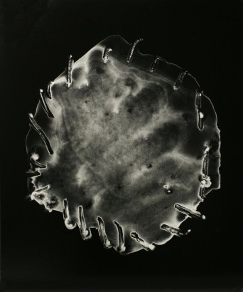 John Wood - Untitled #4, from Nine Imaginary Oil Spills, 1995 Cliche verre, gelatin silver print, printed c. 1995 | Bruce Silverstein Gallery