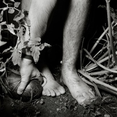 Rosalind Fox Solomon - Legs in a Garden, New York,&nbsp;1987 Gelatin silver print, printed 1987 | Bruce Silverstein Gallery