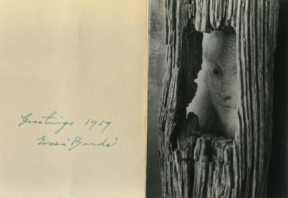 Andr&eacute; Kert&eacute;sz - Face in Tree, 1959 Gelatin silver print | Bruce Silverstein Gallery