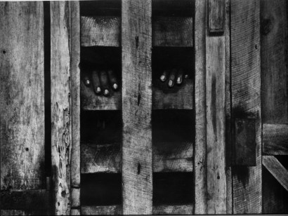 W. Eugene Smith -  Hands in Stockade, Africa, 1954  | Bruce Silverstein Gallery