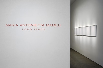 Maria Antonietta Mameli : Long Takes | installation image 2011 | Bruce Silverstein Gallery
