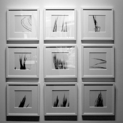 Aaron Siskind | Recurrence | Bruce Silverstein Gallery