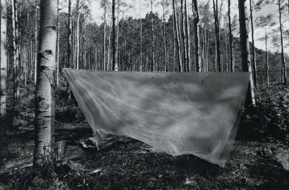 Nathan Lyons -  Untitled (Notations in Passing), 1962-1974  | Bruce Silverstein Gallery