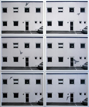 Nicolai Howalt -  Six Seahawks and One Building, 2009  | Bruce Silverstein Gallery