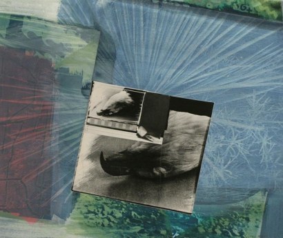John Wood - Eagle Pelt, 1988 Collage and cyanotype | Bruce Silverstein Gallery