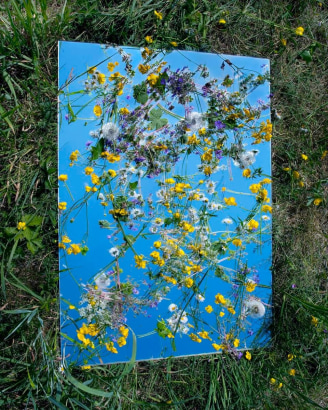 Brea Souders - Mille Fleurs, 2011 Archival inkjet print | Bruce Silverstein Gallery