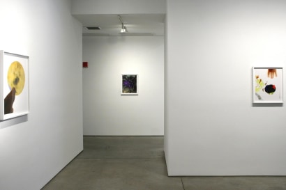 Brea Souders | installation image 2014 | Bruce Silverstein Gallery