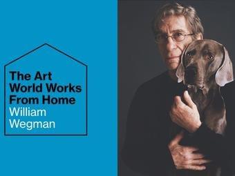 William Wegman in Artnet News