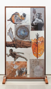 large rectangular glass sculpture collaged with photographic images