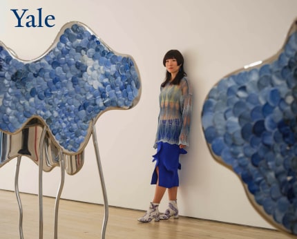 Lin Wang on Yale University Radio