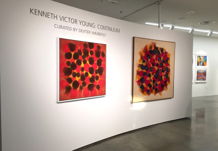 Kenneth Victor Young Solo Show, &quot;Continuum,&quot; at the AU Museum