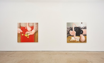 Installation view 9 of Louise Bonnet: Paintings (April 23 &ndash; June 4, 2016), Nino Mier Gallery, Los Angeles