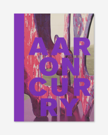 Aaron Curry: The Colour Out of Space
