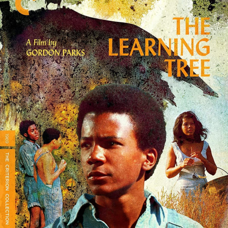 Blu-ray Review: Gordon Parks’s The Learning Tree on the Criterion Collection