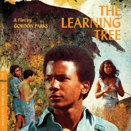 The Criterion Collection – Gordon Parks’ THE LEARNING TREE Available on Blu-ray November 9th