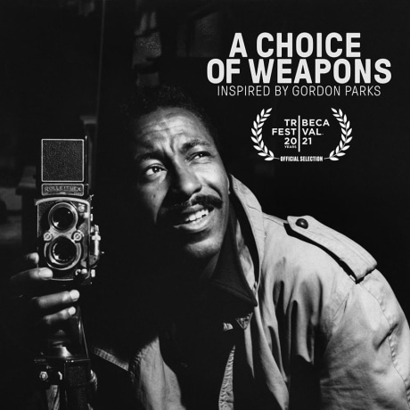 A Choice of Weapons : Inspired by Gordon Parks