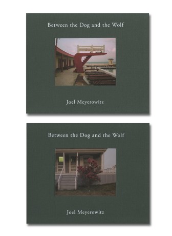 Between the Dog and the Wolf