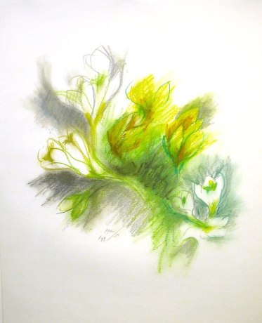 Yellow Crocuses,&nbsp;1993, pastel on paper, 24 x 17 3/4 inches