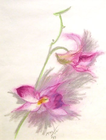 Orchid,&nbsp;1993, pastel on paper, 11 1/2 x 9 inches