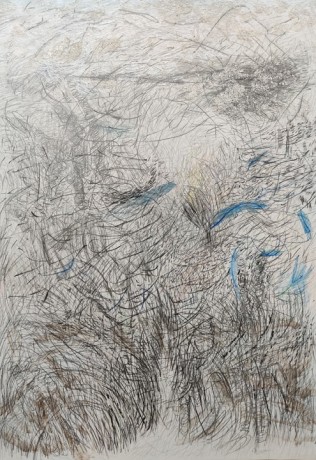 Jayashree Chakravarty,&nbsp;Wilderness, 2020,&nbsp;Watercolour, graphite, charcoal, ink, shell, acrylic on paper, 39.25 x 27.75 in