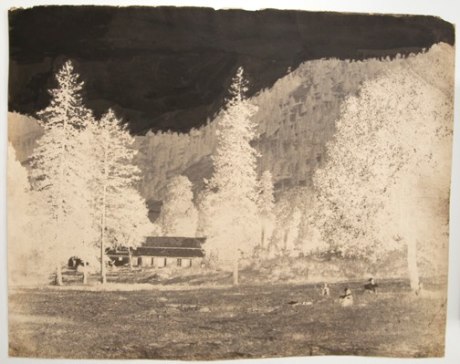 National, view of house in forest