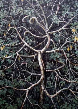 Rajan Krishnan, Plant from the Grove by the River&nbsp;3