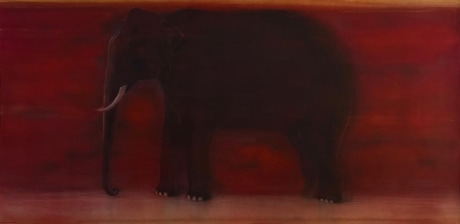 elephant on red background