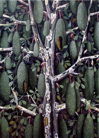 Rajan Krishnan, Plant from the Grove by the River 1