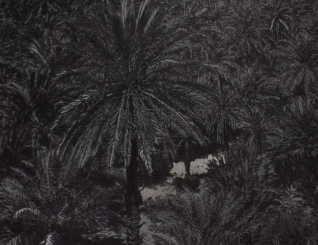 Saad Qureshi&nbsp; Sacred Garden III (Detail View)