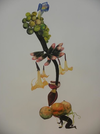 Avishek Sen, Untitled (Large Flower)