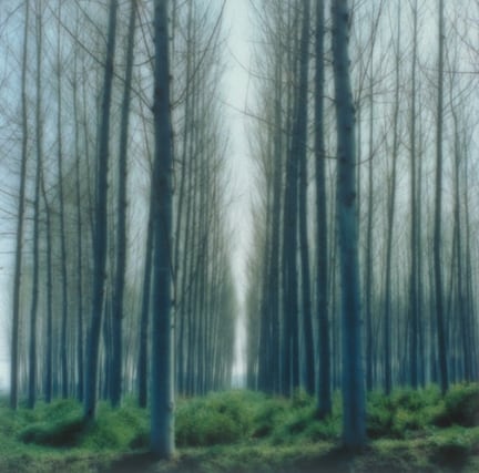 Andalucia, Spain (3-02-34c-12), 2002,&nbsp;19 x 19,&nbsp;28 x 28,&nbsp;or 38 x 38 inch&nbsp;archival pigment print