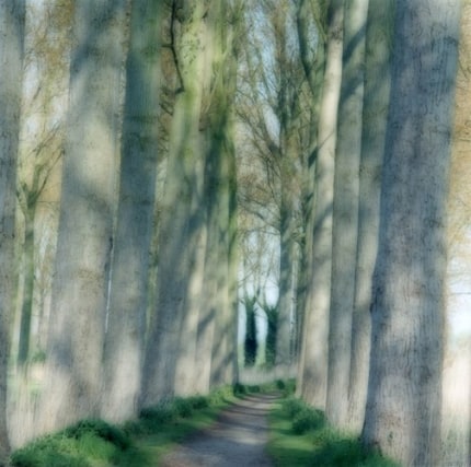 Beloeil, Belgium (4-04-26c-10), 2004,&nbsp;19 x 19,&nbsp;28 x 28,&nbsp;or 38 x 38 inch&nbsp;archival pigment print