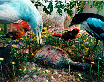 Gregory Crewdson, Untitled (birds around home), 1997, C-print, Edition of 6, 40 x 50