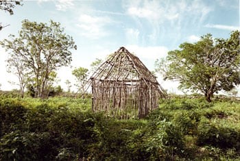 Edwardo del Valle &amp;amp; Mirta Gomez, Painted Gourd, Kopama, Yucatan, Mexico, 2000, 20 x 24 inch Chromogenic Print, Signed, dated, titled and editioned on verso, Edition of 20