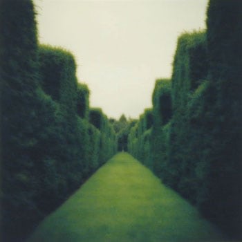 Misderden Park, England, 2000