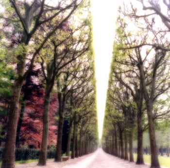 &quot;Parc de Sceaux, France, 2008&quot;  [4-07-6c-9], 19 x 19 inch / 28 x 28 inch Chromogenic Print; Edition of 15 / 38 x 38 inch Chromogenic Print; Edition of 6