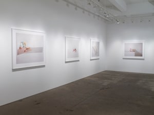 Laura Letinsky,Ill Form &amp;amp; Void Full, Installation View