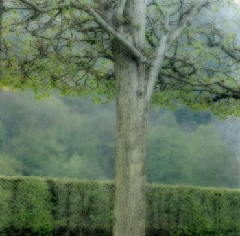 Freyr Gardens, Belgium, 2004 (4-04-32c-12), 19 x 19 and 28 x 28 inch Chromogenic print, Edition of 15 per size