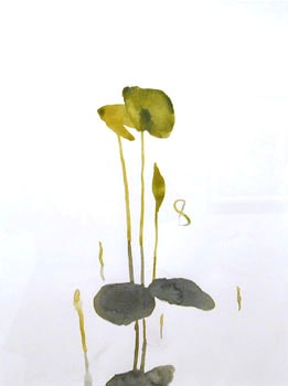 Portia Hein, Untitled (PH04-54), 2003, 24 x 18 inch Watercolor on paper, Signed on verso